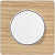 Odace