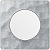 Odace