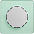 Odace